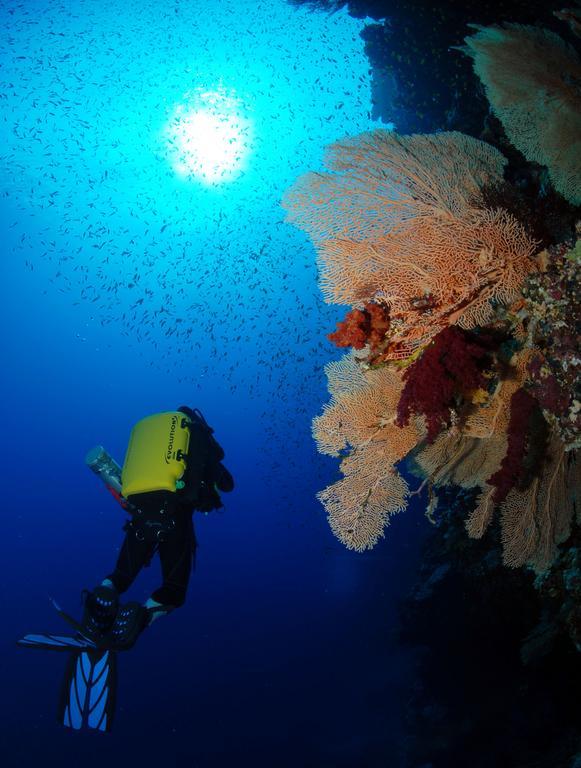 The Breakers Diving And Surfing Soma Bay Курортный комплекс